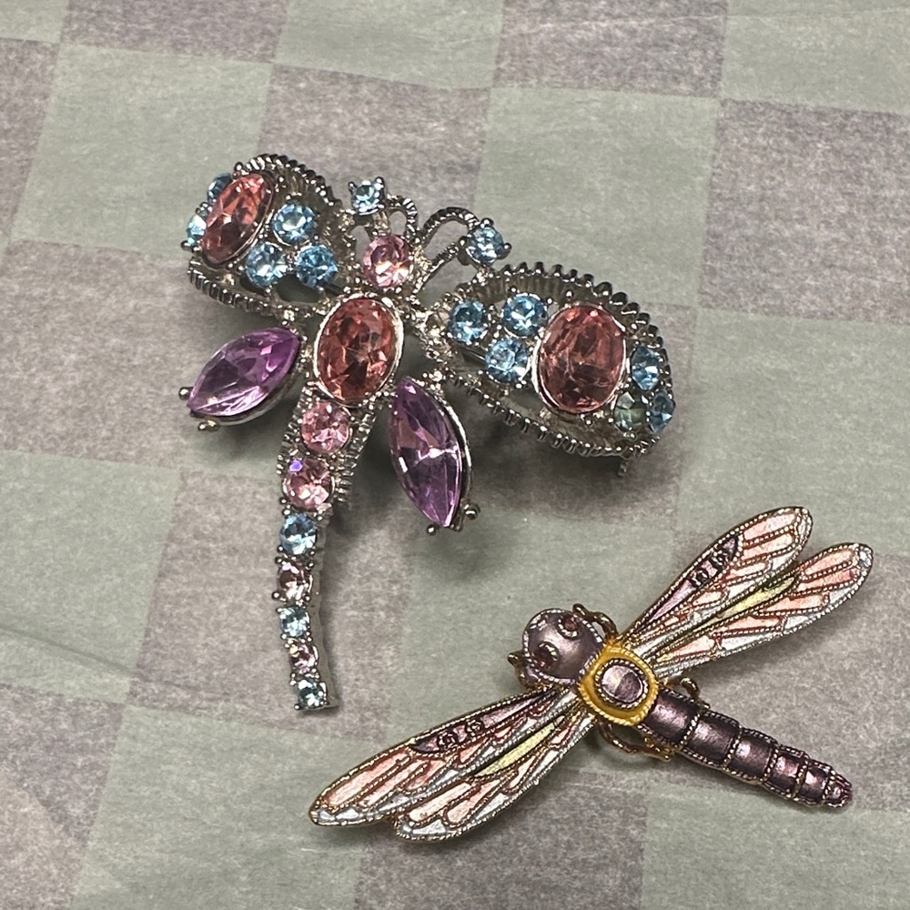 Colorful Dragonfly Brooch Set